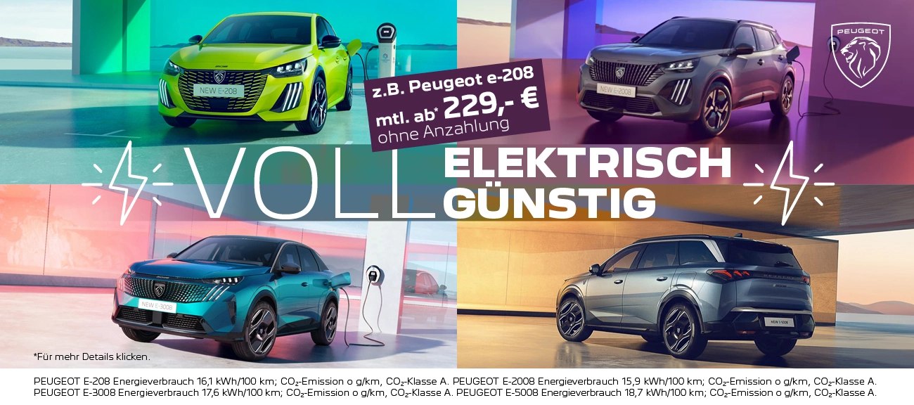 Peugeot Elektro Power Leasing