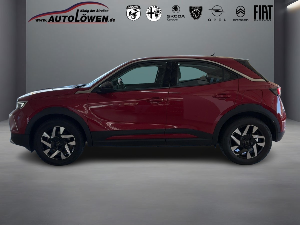 Mokka e Elegance
