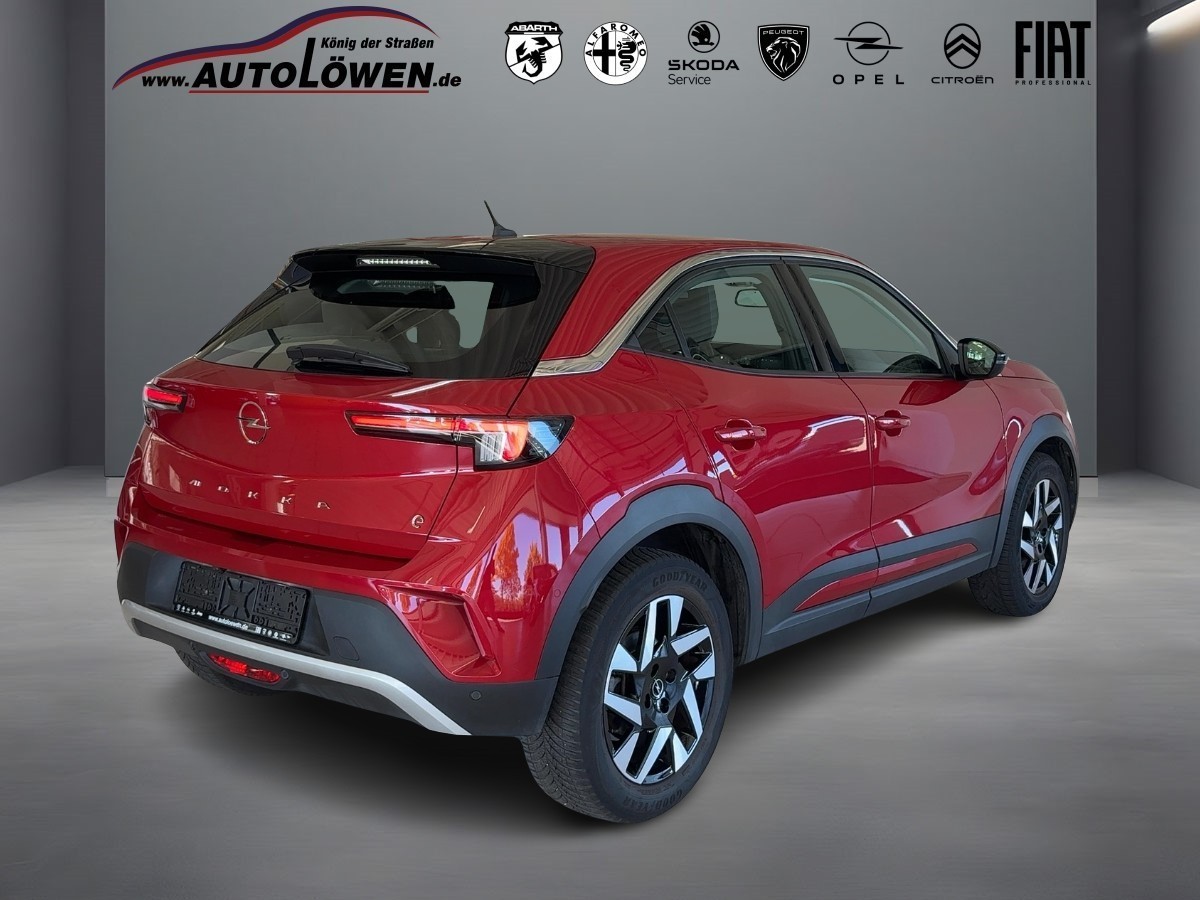 Mokka e Elegance