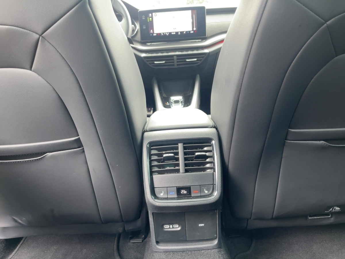 Octavia Combi 2.0 TSI RS OPF (EURO 6d)