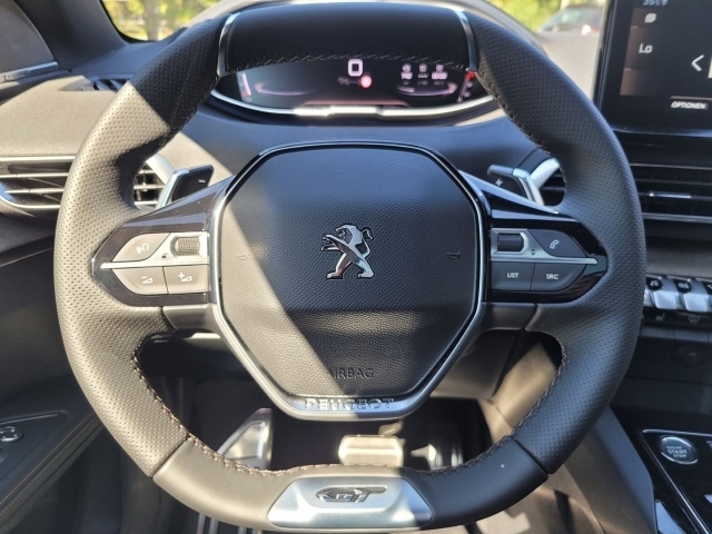 Octavia 1.6 TDI DPF Drive, Sitzheizung