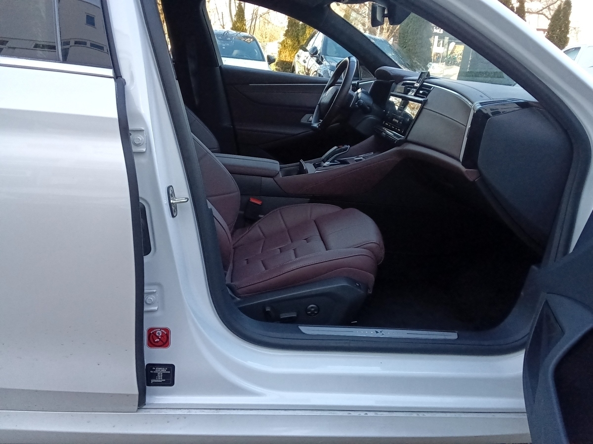 DS9 1.6 PureTech Rivoli + S&S Navi Kamera