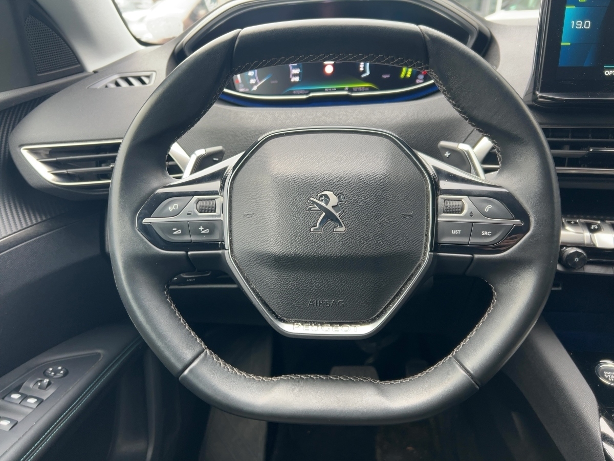 2008 Active Elektromotor