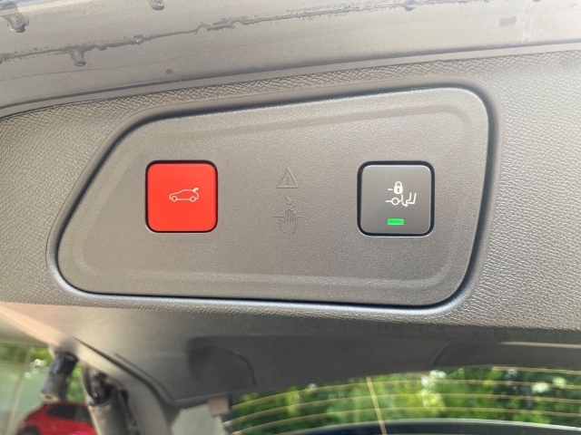3008 Hybrid 225