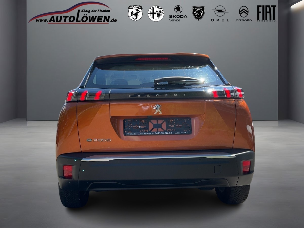 2008 Elektromotor (e-)Active Pack