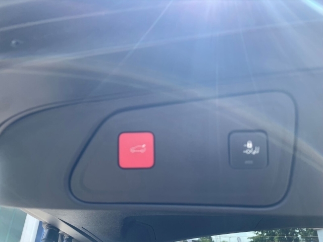 3008 Hybrid 225