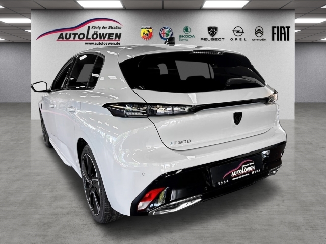308 First Edition Elektromotor 156