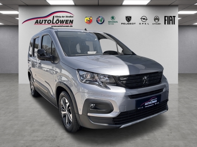C4 Elektromotor e-Shine Navi Kamera Sitzheizung