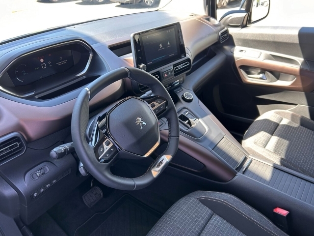 C4 Elektromotor e-Shine Navi Kamera Sitzheizung