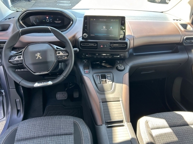 C4 Elektromotor e-Shine Navi Kamera Sitzheizung
