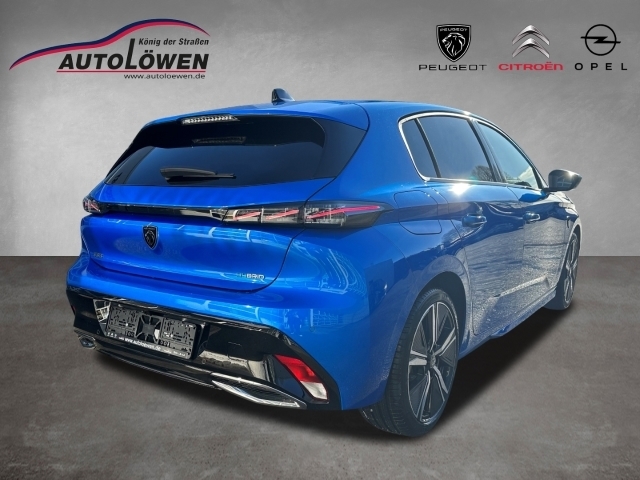 3008 Hybrid 225