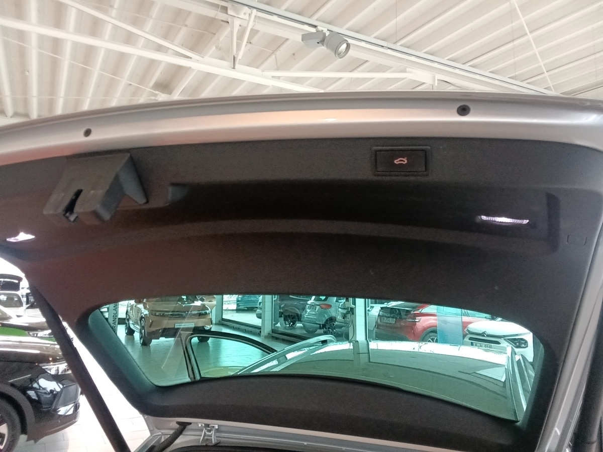Octavia Combi 2.0 TDI DPF First Edition (EU 6d-T