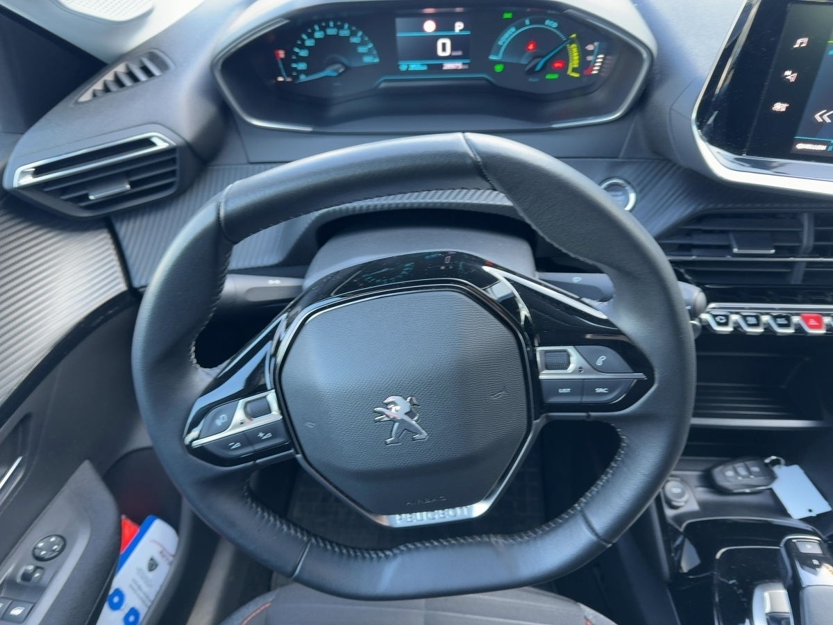 208 Elektromotor Active