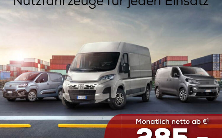  Fiat Professional