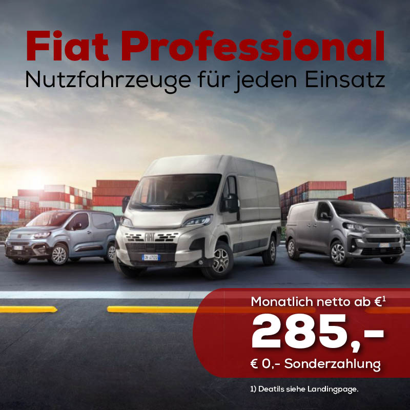 Fiat Professional bei Auto Löwen