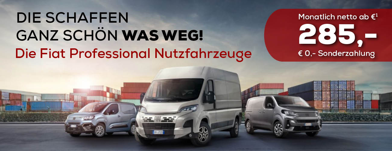 Fiat Professional bei Autolöwen
