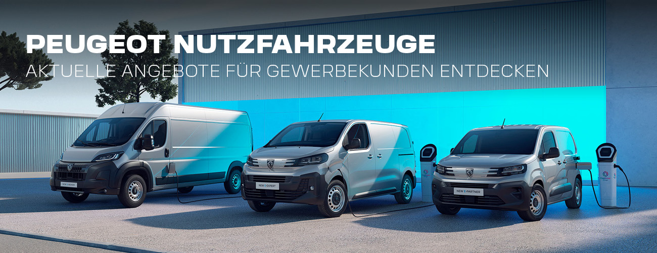 HEADER-DESKTOP-PEUGEOT-NFZ-Q3