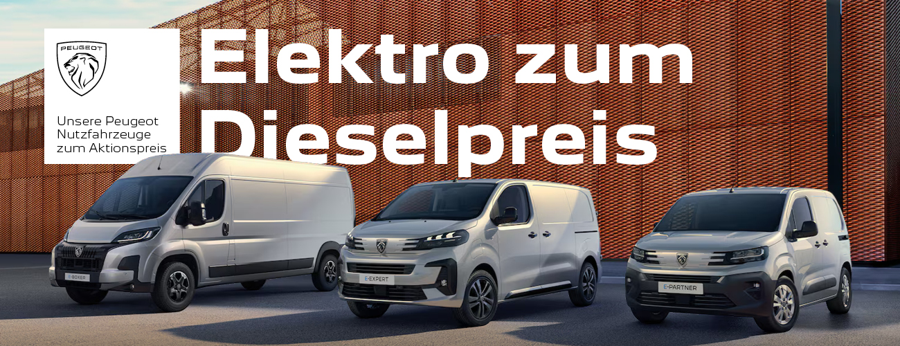 HEADER DESKTOP Peugeot NFZ q2_26